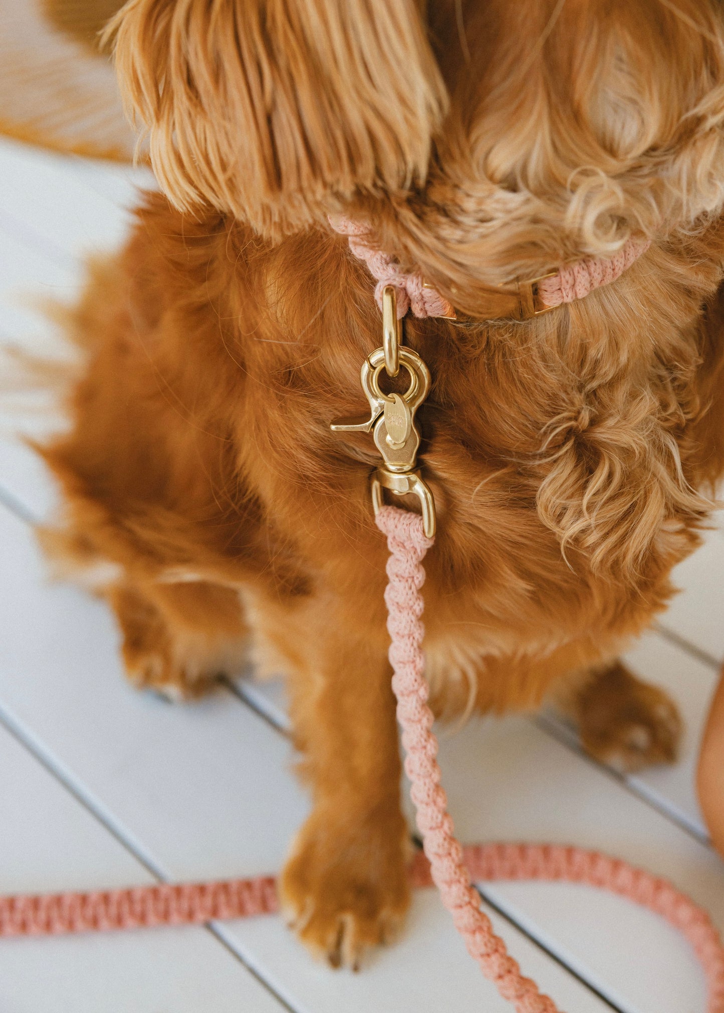 Chloe Macramé Dog Leash - Hibiscus