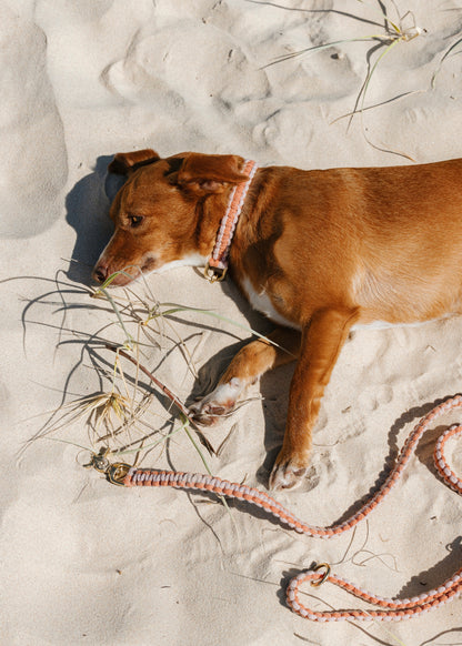 Chloe Macramé Dog Leash - Custom