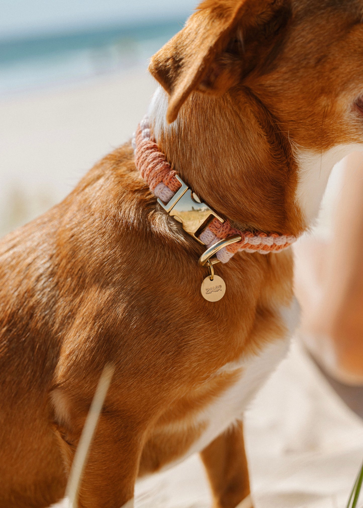 Chloe Macramé Dog Collar and Name Tag Bundle - Custom