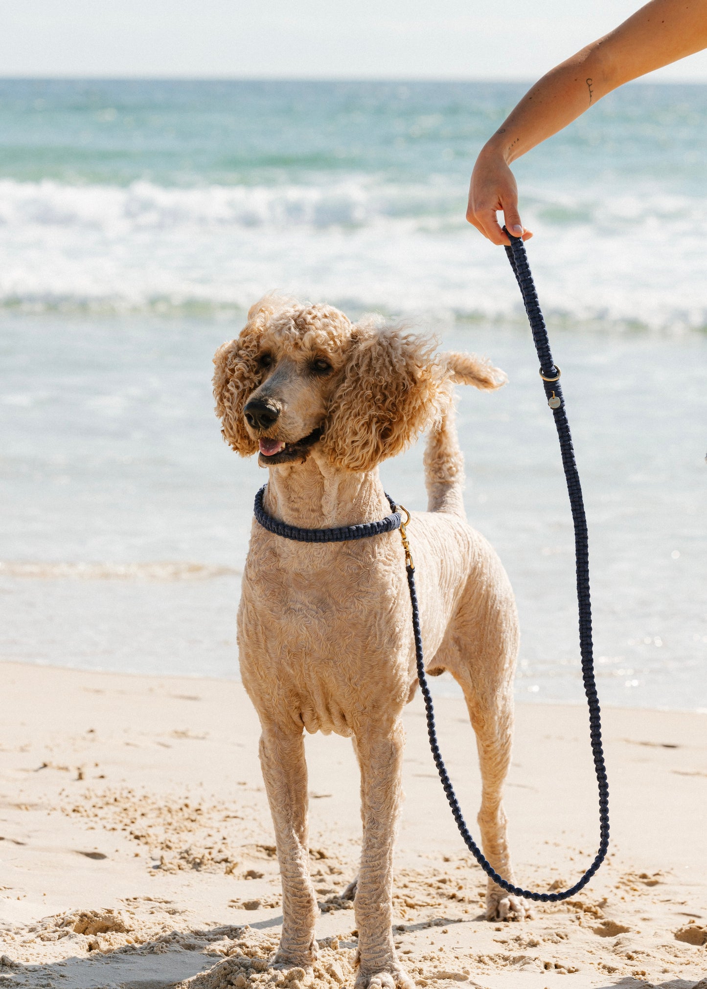 Chloe Macramé Dog Leash - Sea