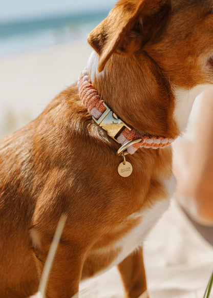 Chloe Macramé Dog Collar, Leash and Name Tag Bundle - Custom