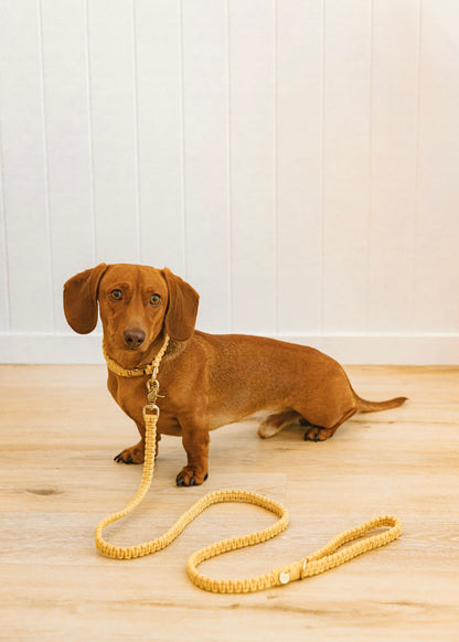 Chloe Macramé Dog Leash - Marigold