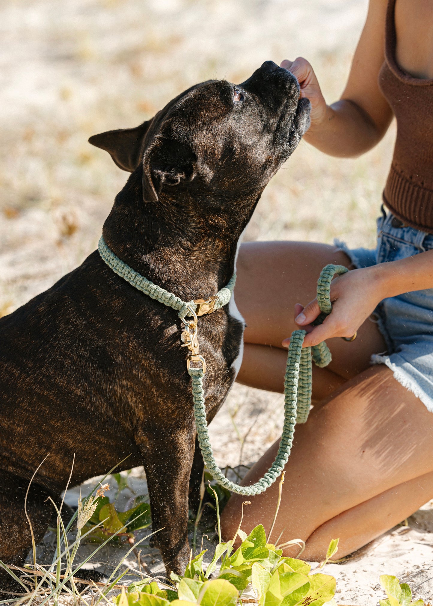 Chloe Macramé Dog Leash - Eucalyptus