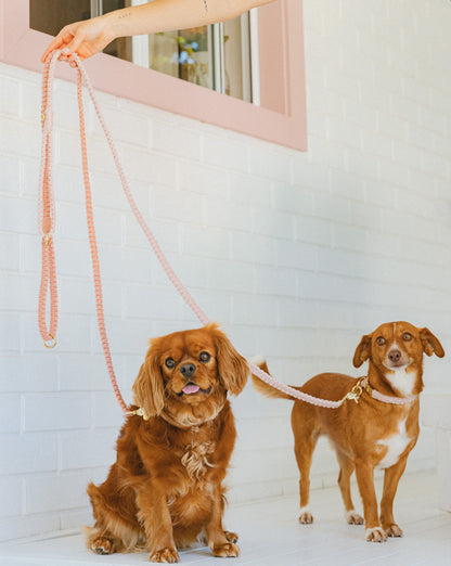 Chloe Macramé Dog Leash - Hibiscus