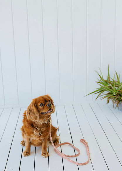 Chloe Macramé Dog Leash - Hibiscus