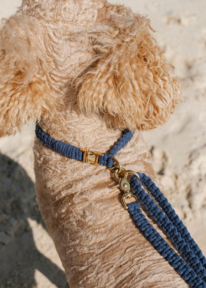 Chloe Macramé Dog Leash - Sea