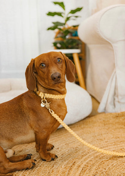 Chloe Macramé Dog Leash - Marigold