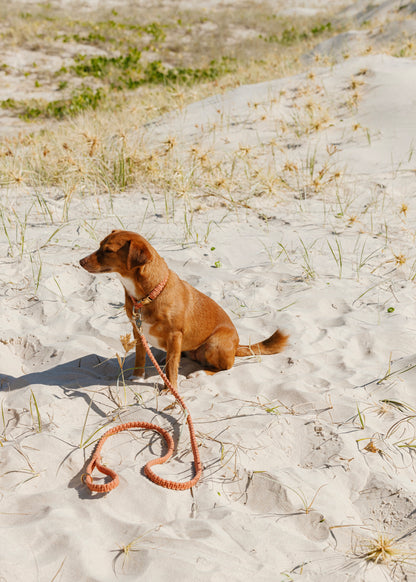 Chloe Macramé Dog Leash - Rust