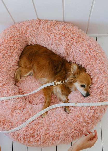 Chloe Macramé Dog Leash - Shell