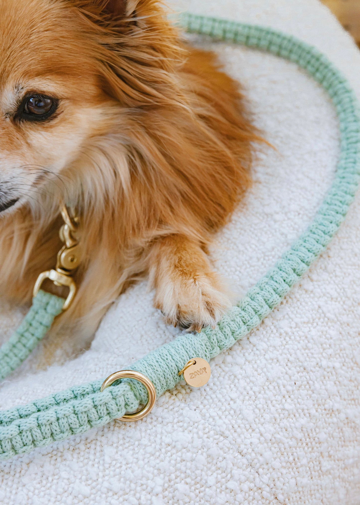 Chloe Macramé Dog Leash - Aloe