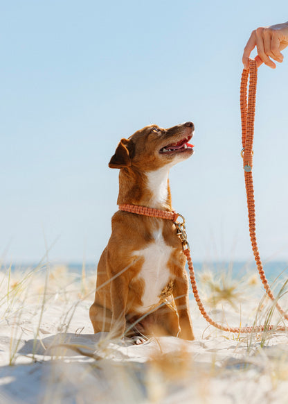 Chloe Macramé Dog Leash - Rust