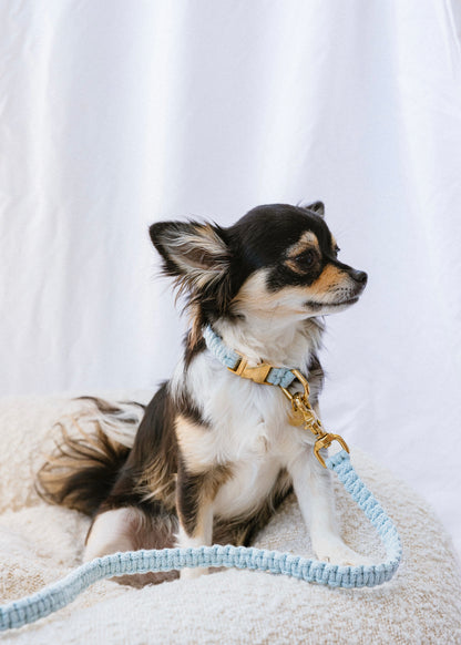 Chloe Macramé Dog Leash - Swell