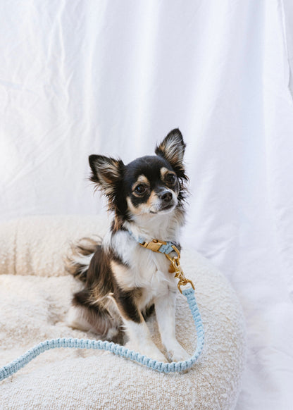 Chloe Macramé Dog Collar and Leash Bundle