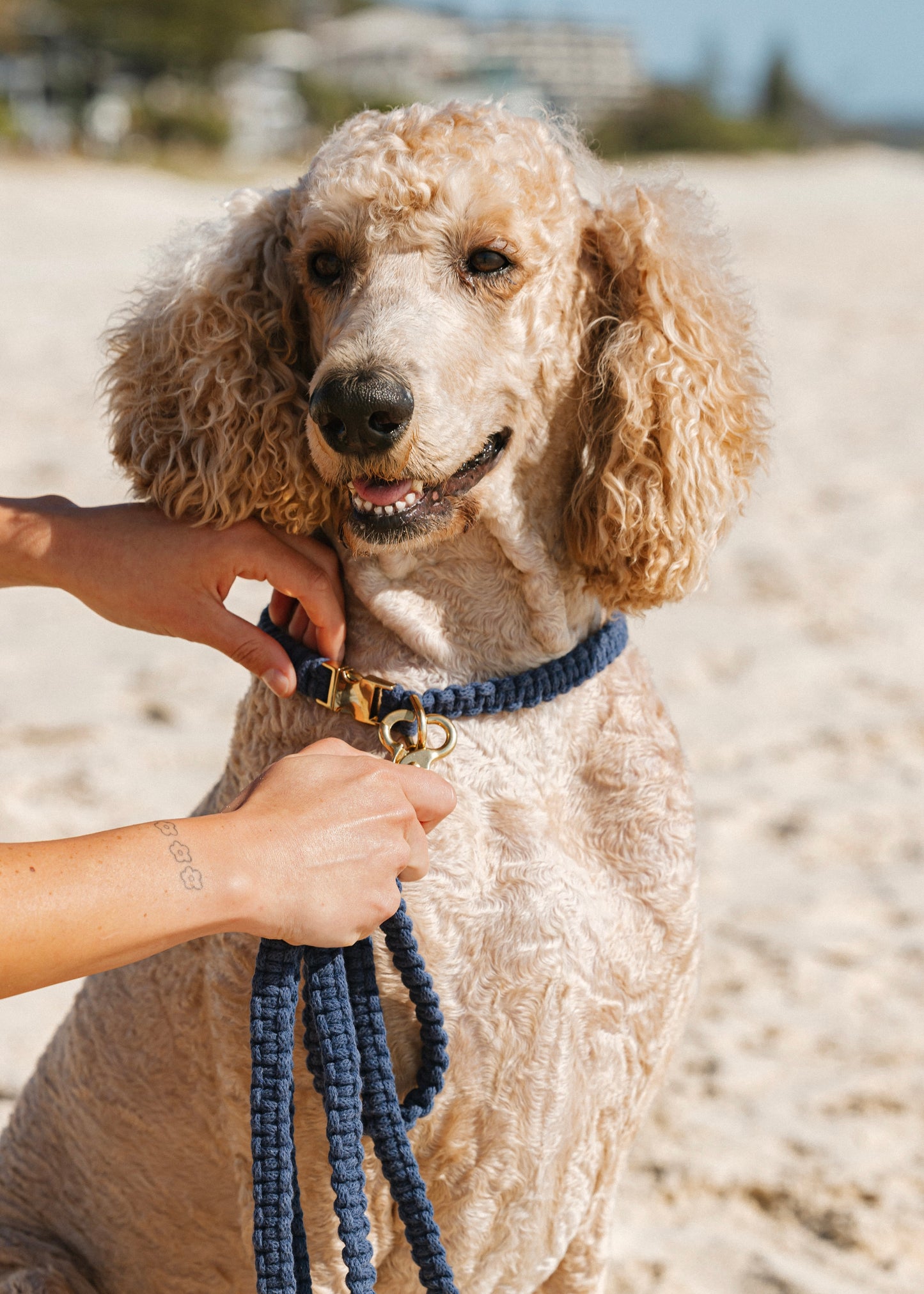 Chloe Macramé Dog Leash - Sea