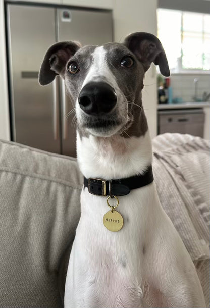 Personalised Dog Name Tag